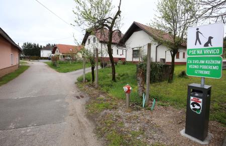 Koš  SLIVICE 02 FOTO LJUBO VUKELIČ